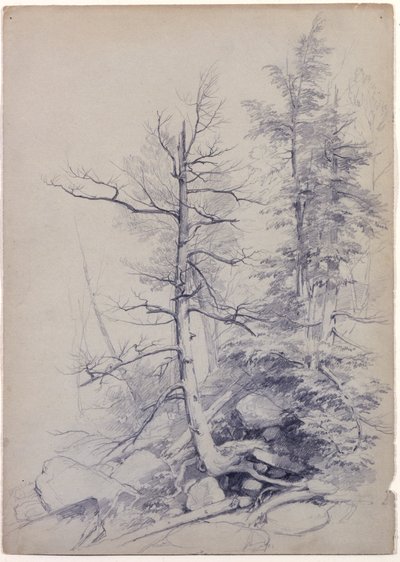 Study of Trees and Rocks, Catskill Mountains, New York by Asher Brown Durand